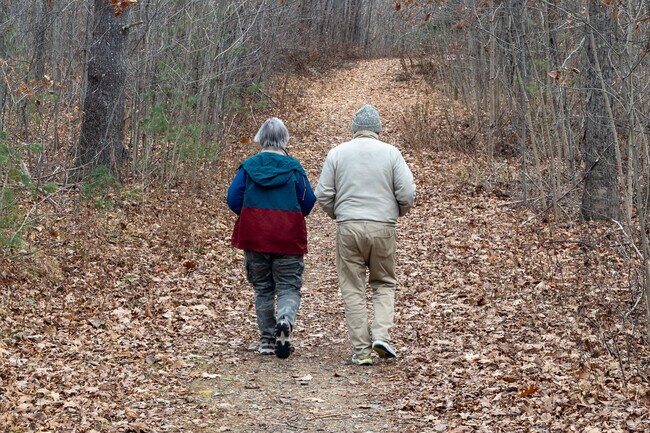 Hikers enjoy Desrochers Memorial Forest.