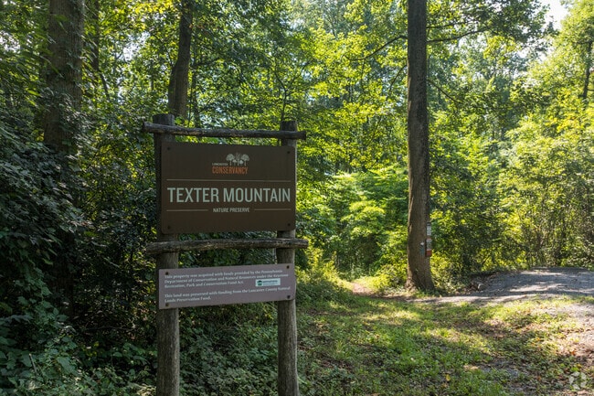 Texter Mountain Preserve offers hiking and nature near Newmanstown.
