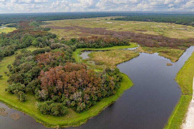 Harnes Marsh offers Richmond residents public access to 500 acres of natural wetlands.