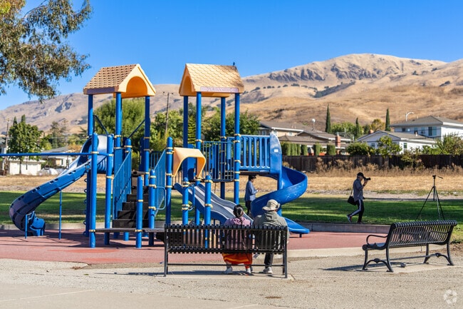 Lone Tree Park provides a peaceful setting for relaxation and gatherings.