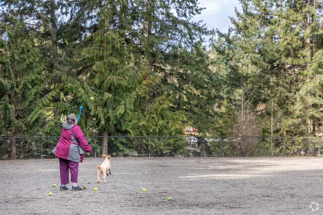 Lynndale Off-Leash Dog Area near Talbot Park gives pets room to roam.