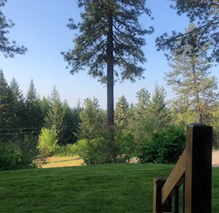 Front porch view