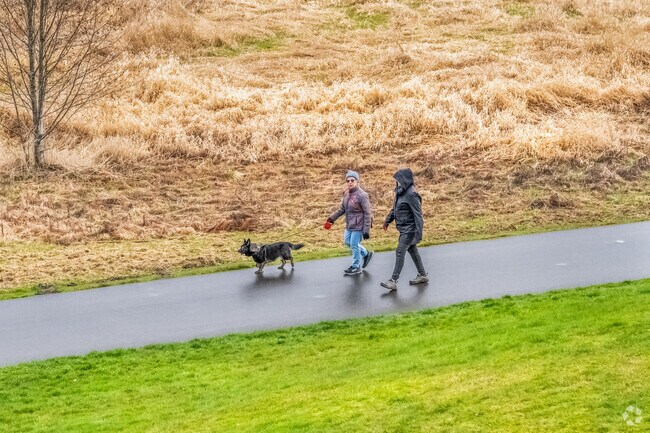 There are plenty of open spaces throughout Montreux to enjoy the outdoors and walk your dog.