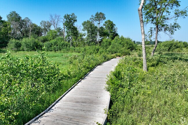 A boardwalk weaves its way through Blaine Wetland Sanctuary.