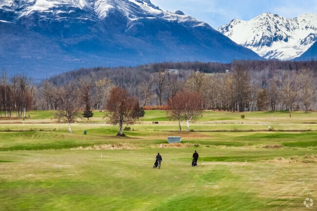 Summer in Palmer brings lush landscapes and endless outdoor activities.