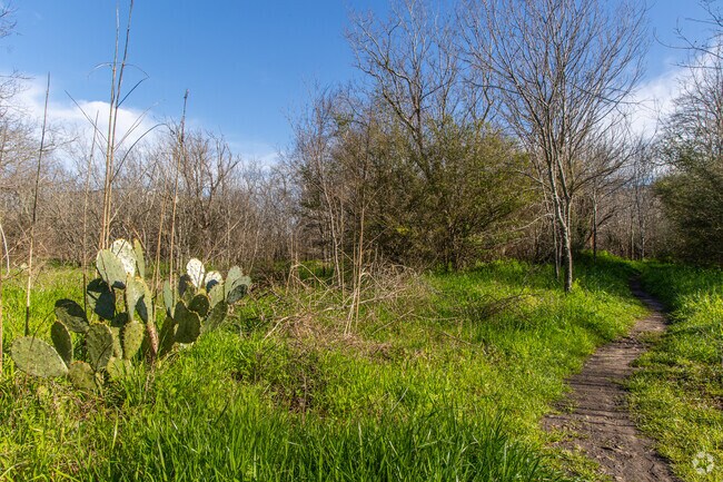 Explore the beauty of Little Walnut Creek Greenbelt, a peaceful retreat in Austin.