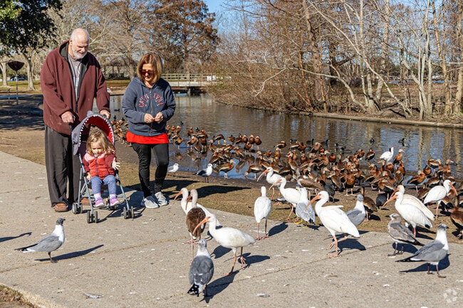 Feed the birds at the Bird Sanctuary in Lafreniere Park.