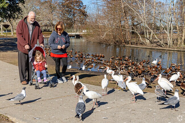 Feed the birds at the Bird Sanctuary in Lafreniere Park.