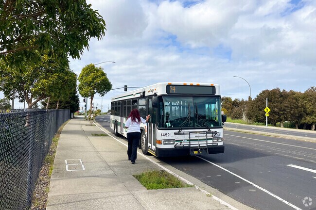 Bus stops are abundant in Graystone, which allows easy transportation for residents.