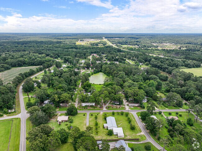 Azalea - Aerial