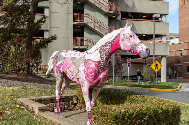Pensacola Park is located in Lexington, the horse capital of the world.