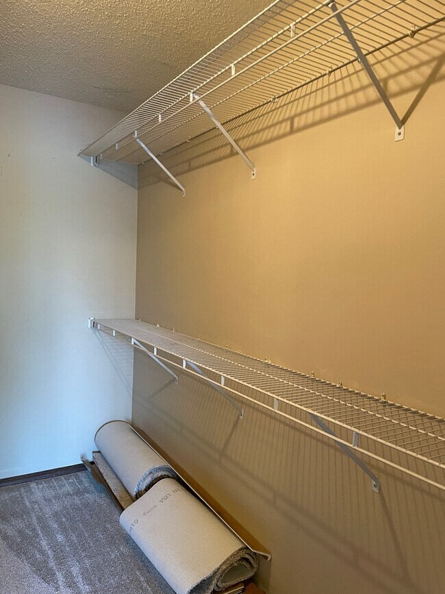 Primary bedroom closet