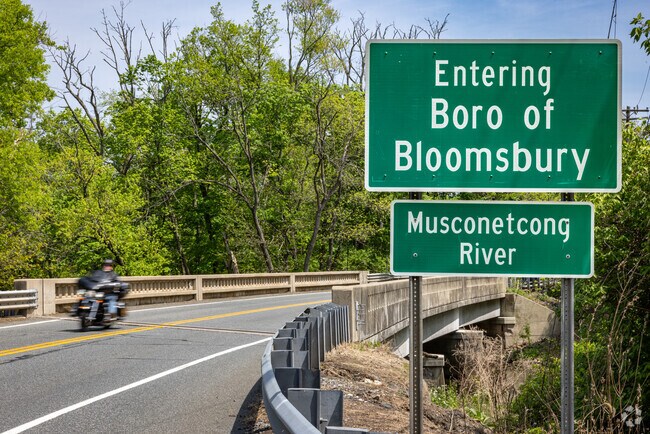 Bloomsbury was settled in 1725 and its name is derived from the Bloom family who were influential in the early history of the town.