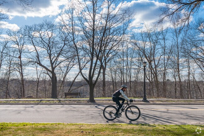 A cyclist on the Mississippi River Parkway near the Macalester-Groveland neighborhood.
