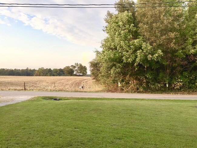 209 Bumpus Mill Rd, Oak Grove, KY 42262 - photo 5