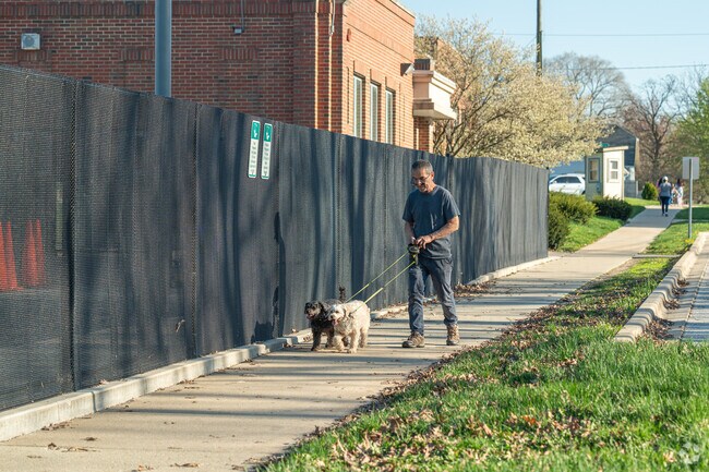 A Light of the Community local enjoys a brisk evening walk with his dogs in Aurora, IL.