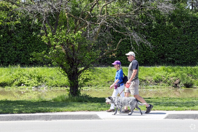 Crow's Nest can offer peaceful walking routes with minimal traffic.