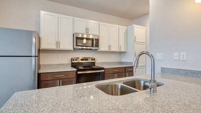 ERA at PARK 216 Apartments (Suffolk’s Newest 55+ Luxury Living Community), Suffolk, VA 23435 - photo 3