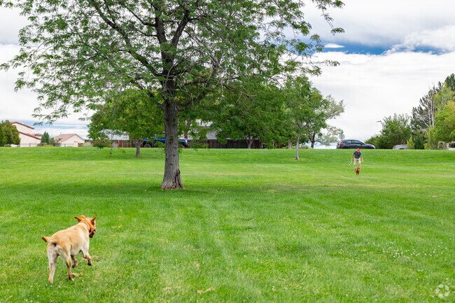 Ridge residents love to bring their dogs to local parks.