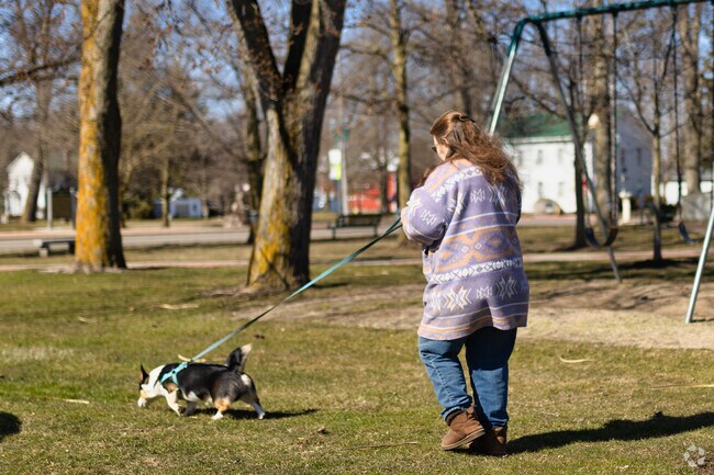 A woman walks her dog in the heart of Vermontville.