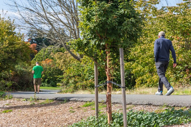 The Mountains to Sound Trail extends through Aubrey Davis Park and into Downtown Mercer Island.