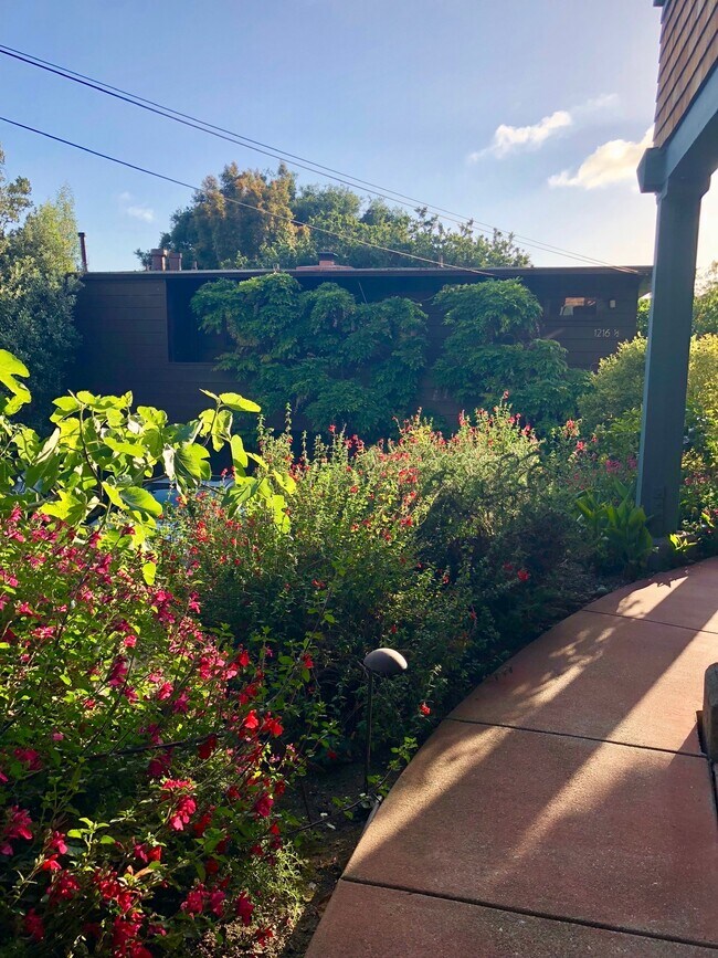 Upper-Level Front Path (1 of 2)
