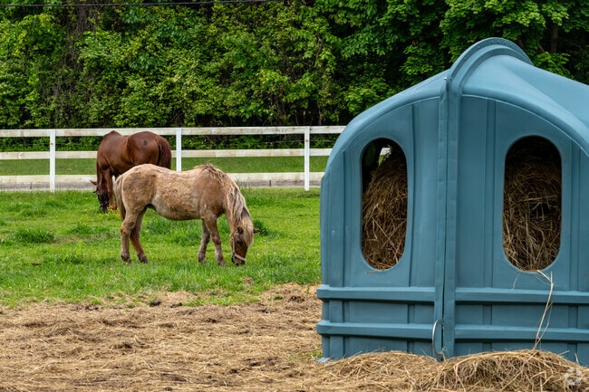 Kids can learn about horse care at Detroit's Buffalo Soldiers Heritage Association.