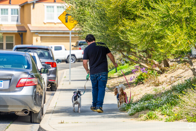 Serena Hills is a highly walkable neighborhood, with scenic streets, nearby parks, and easy access to local amenities, perfect for a stroll or daily walk.