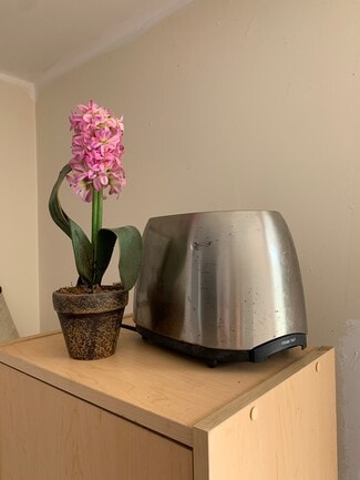 137 N Stanley Dr, Beverly Hills, CA 90211