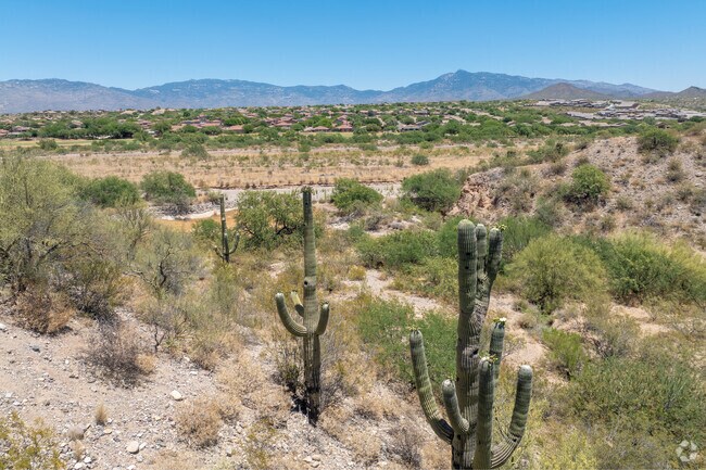 The Pantano Wash runs through Rancho del Lago, offering wildlife viewing and hiking.