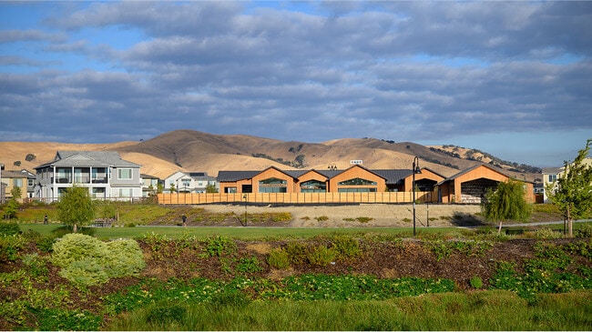 One Lake Amenity Lake Club 1of3