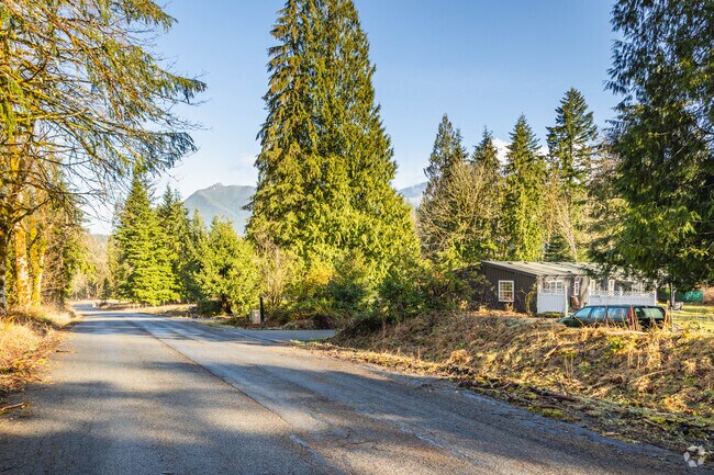 Ramblers are quite common in the Edgewick neighborhood, with many along the river.