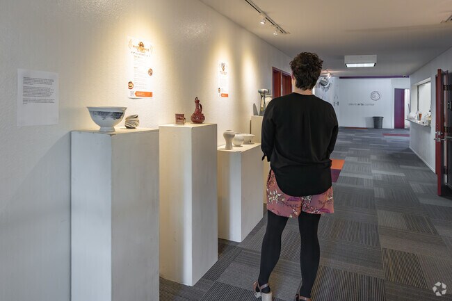 Art classes are available at the Davis Arts Center.