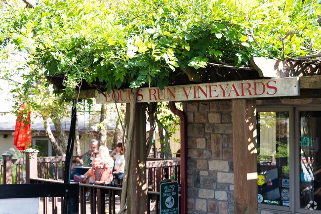 Visitors enjoying a sunny day at Equus Run Vineyards, just outside of Midway and Paynes Depot.