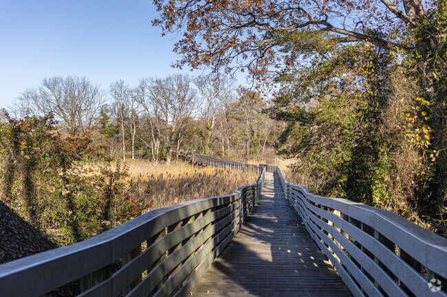 Experience the wildlife on well taken care of trails at Jefferson Patterson Park in St Leonard