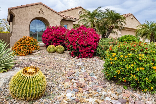 Gorgeous Cactus Home with Lush Gravel Yard: Beautiful Desert Plants and Cacti Set Against a Stunning Gravel Yard.