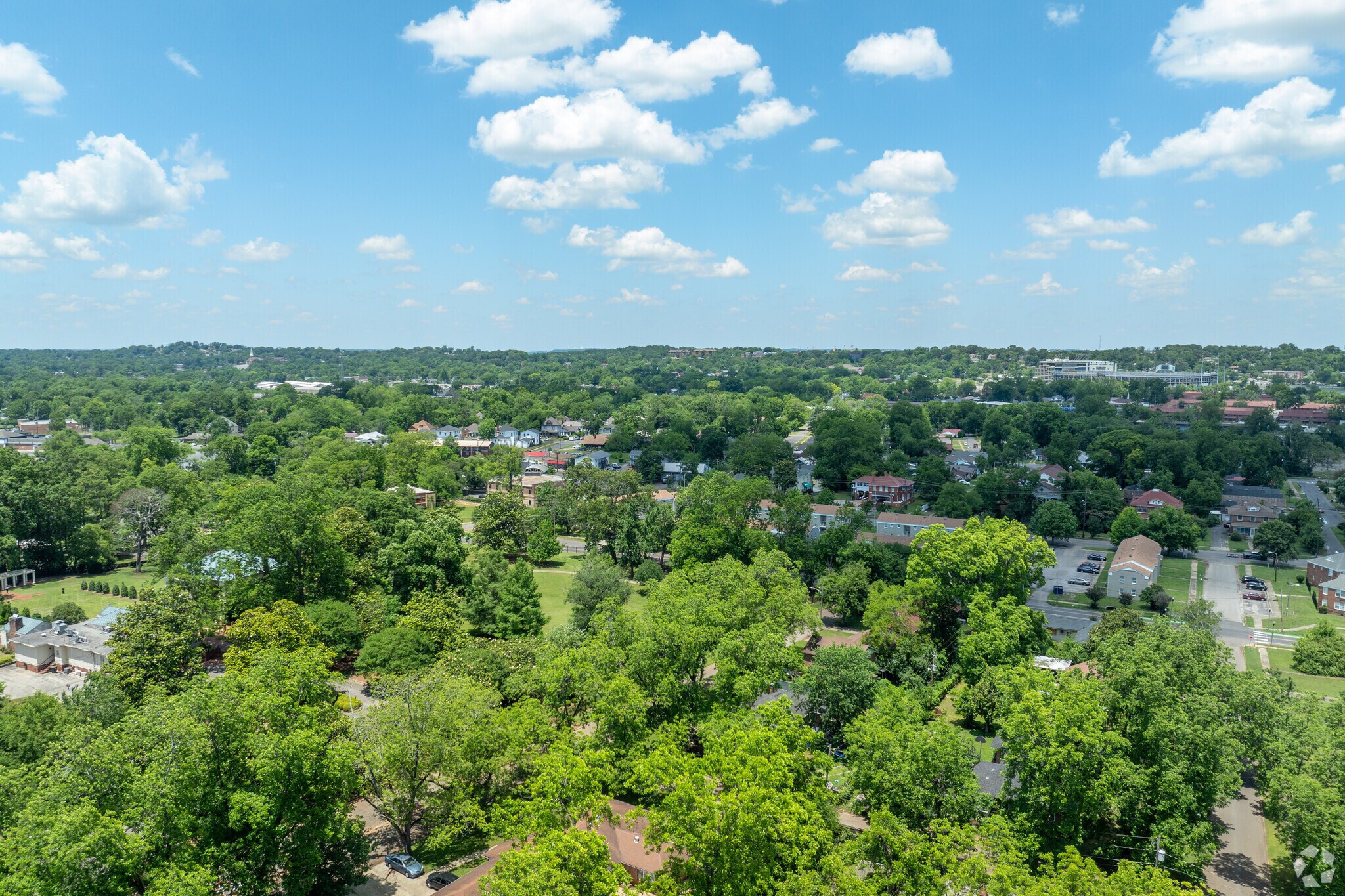 Enjoy an amazing summer day in Arlington-West End.