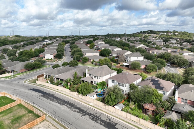 Landscape view of the variety of unique homes in the Live Oak neighborhood.