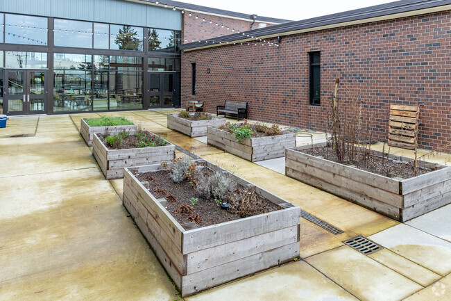 Garden boxes give the students at Ellsworth Elementary School experience growing food.