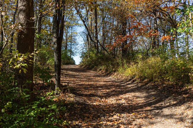 Come back to nature on one of the many trails at Southwestway Park, in Ameriplex.