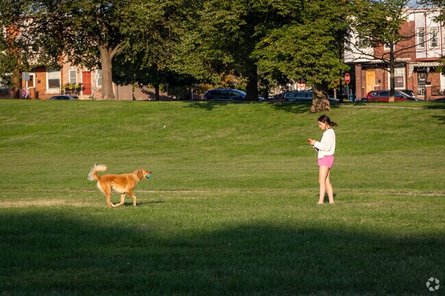 Patterson Park provides 133 acres of amenities, including a dog park.