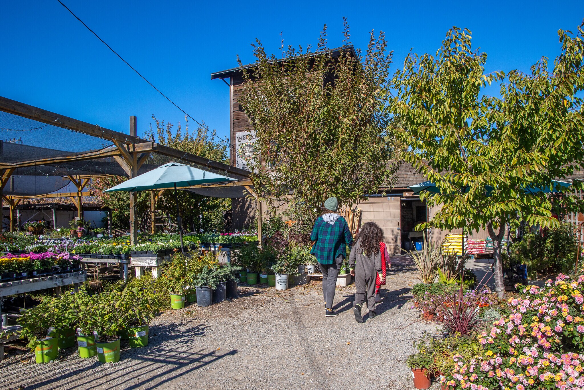 If you love flowers and gardening the In Season Market and Nursery is your place to go.