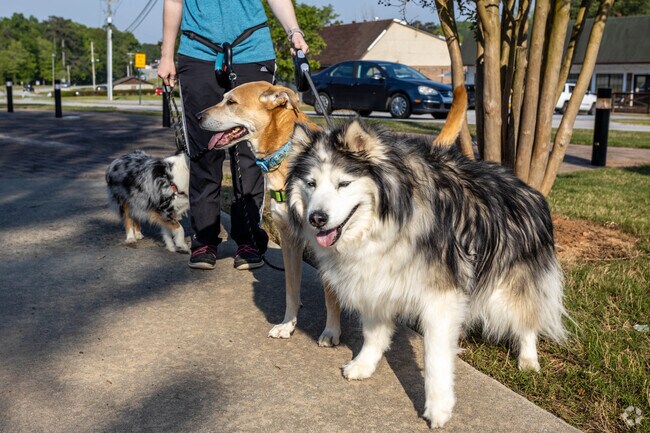 Tyrone has plenty of walking space for your pets.