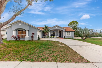 1123 Tuscanny St, Brandon, FL 33511