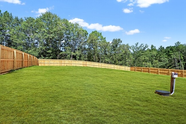 491 Pinnacle Ct, Five Points, NC 28376 - photo 4