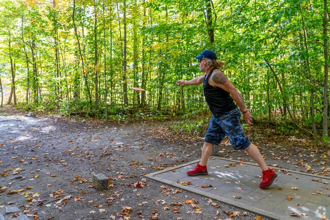 A man plays disc golf at a course that winds through the East Barre Town Forest.