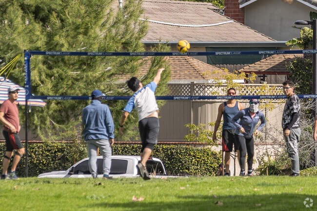 Residents can play volleyball at Fullerton parks in the afternoon.