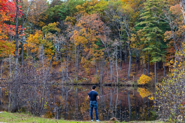 Fish in the Nashua River at Mine Falls Park in Northeast Nashua, NH.
