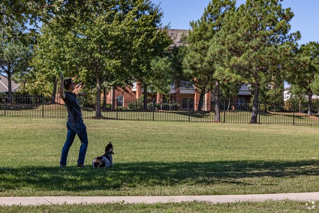 Some residents visit the Iams Dog Park at Bryce Davis Park for quick training sessions.