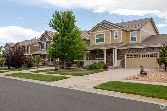 Looking down the street at the stunning homes in Tallyn's Reach.